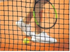 Travaux au Tennis (Article du Journal la Marne du 24 juillet 2024)